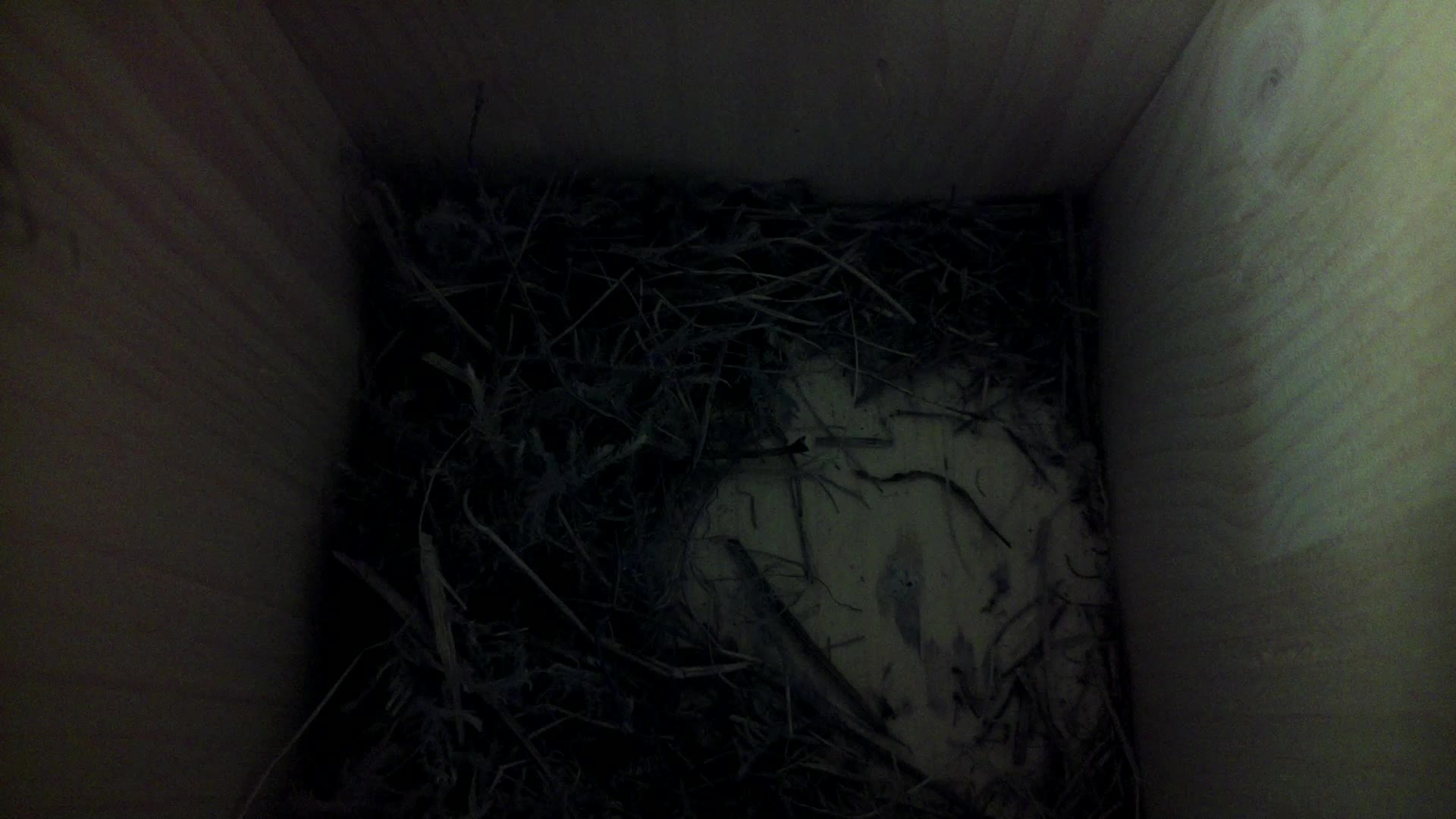 Aufnahme aus dem Vogelhaus