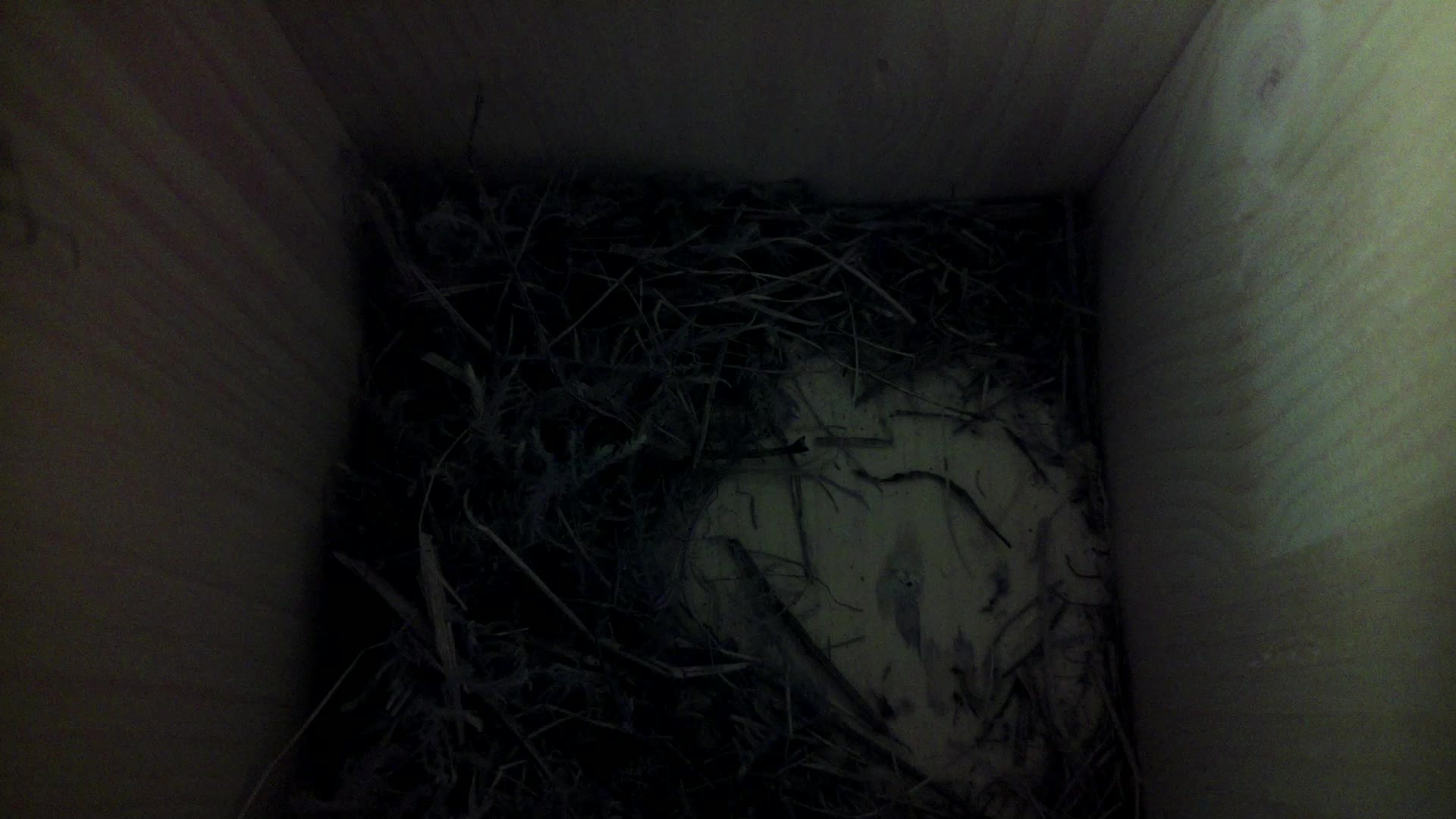 Aufnahme aus dem Vogelhaus