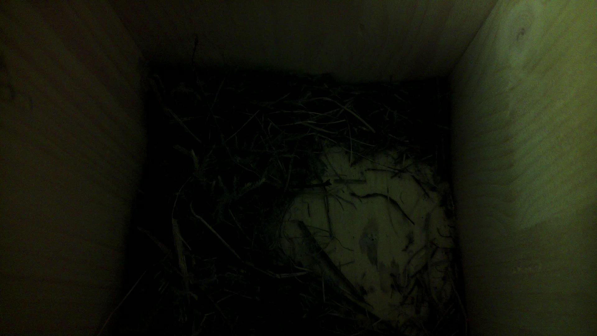 Aufnahme aus dem Vogelhaus