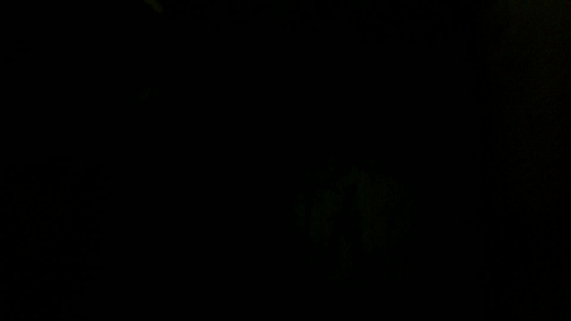 Aufnahme aus dem Vogelhaus
