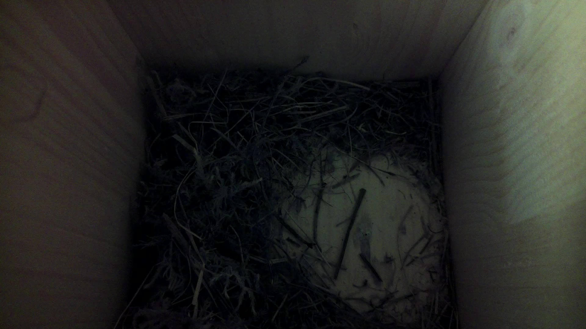 Aufnahme aus dem Vogelhaus