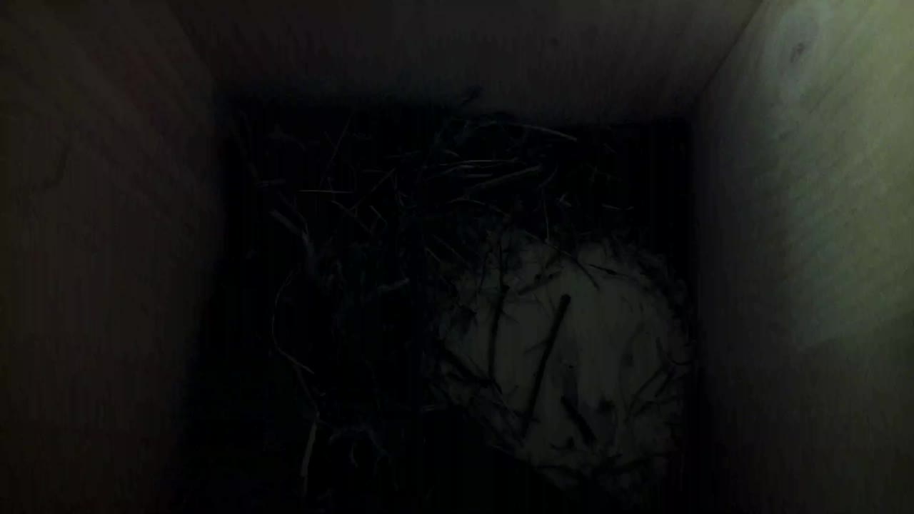 Aufnahme aus dem Vogelhaus