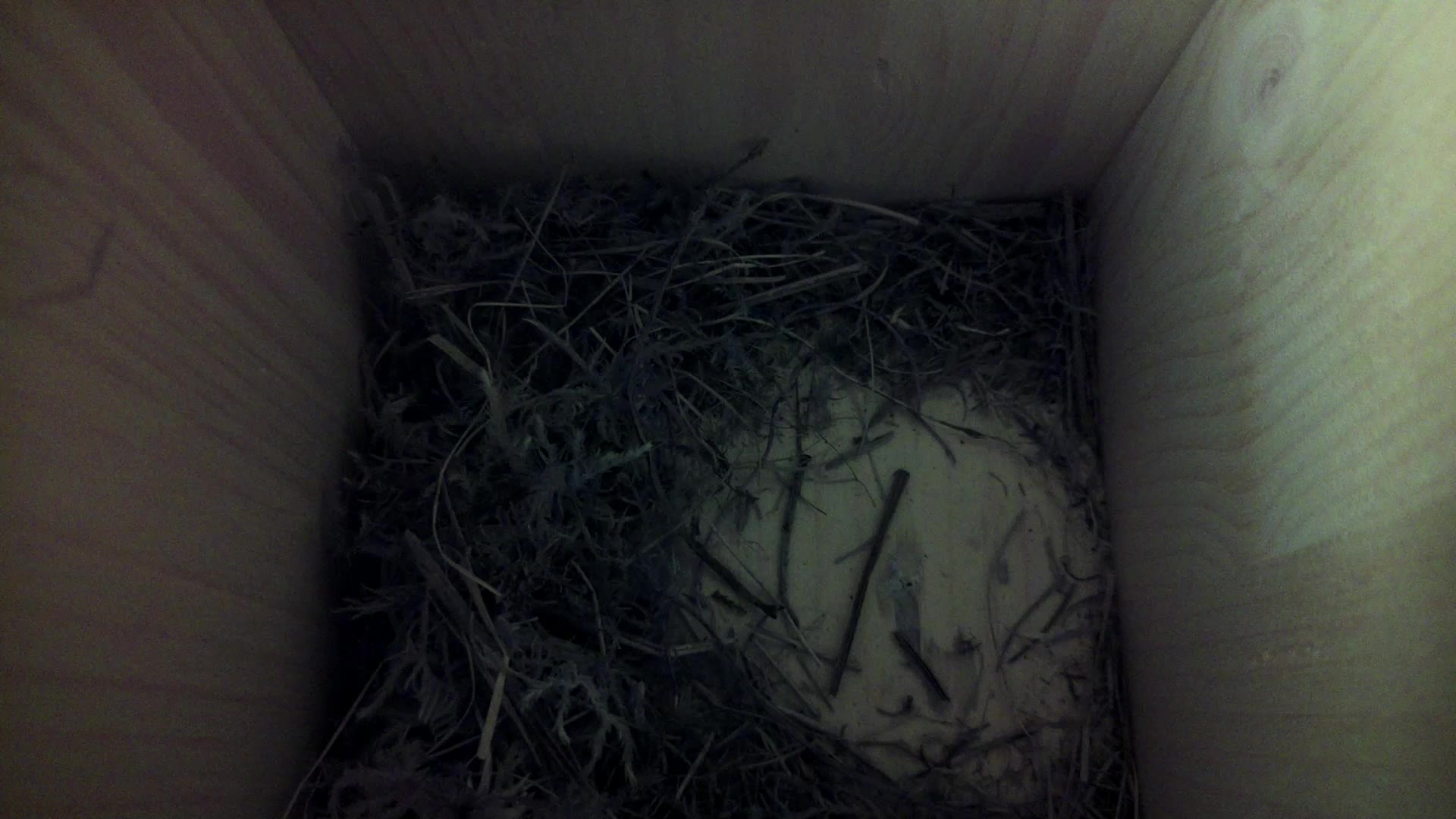 Aufnahme aus dem Vogelhaus