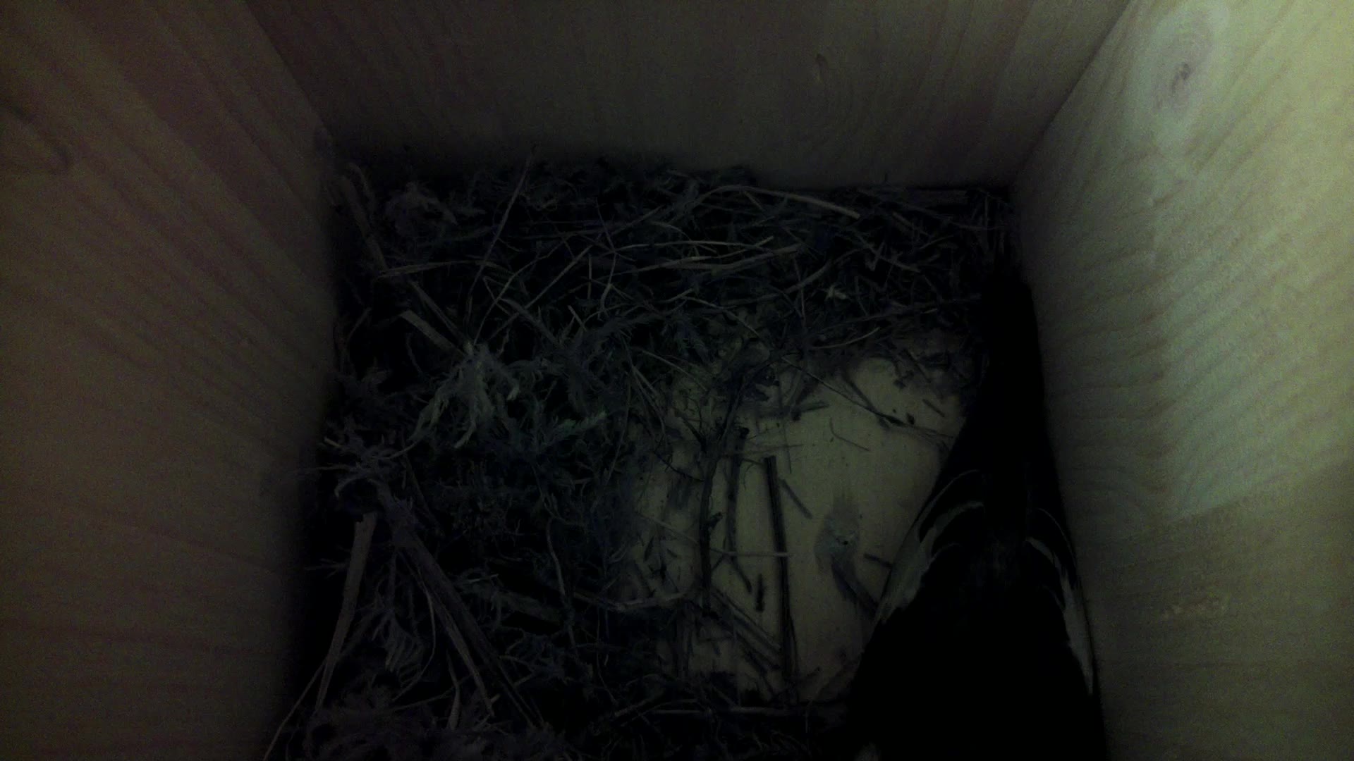 Aufnahme aus dem Vogelhaus