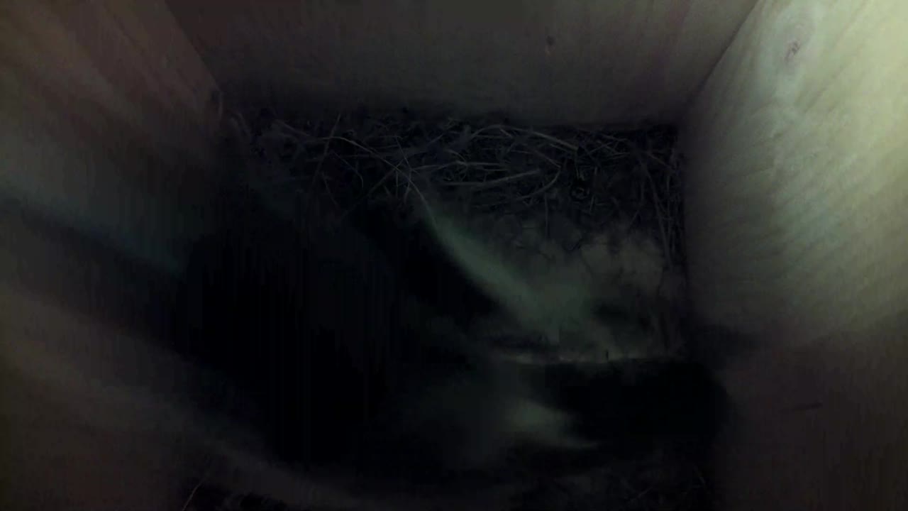 Aufnahme aus dem Vogelhaus