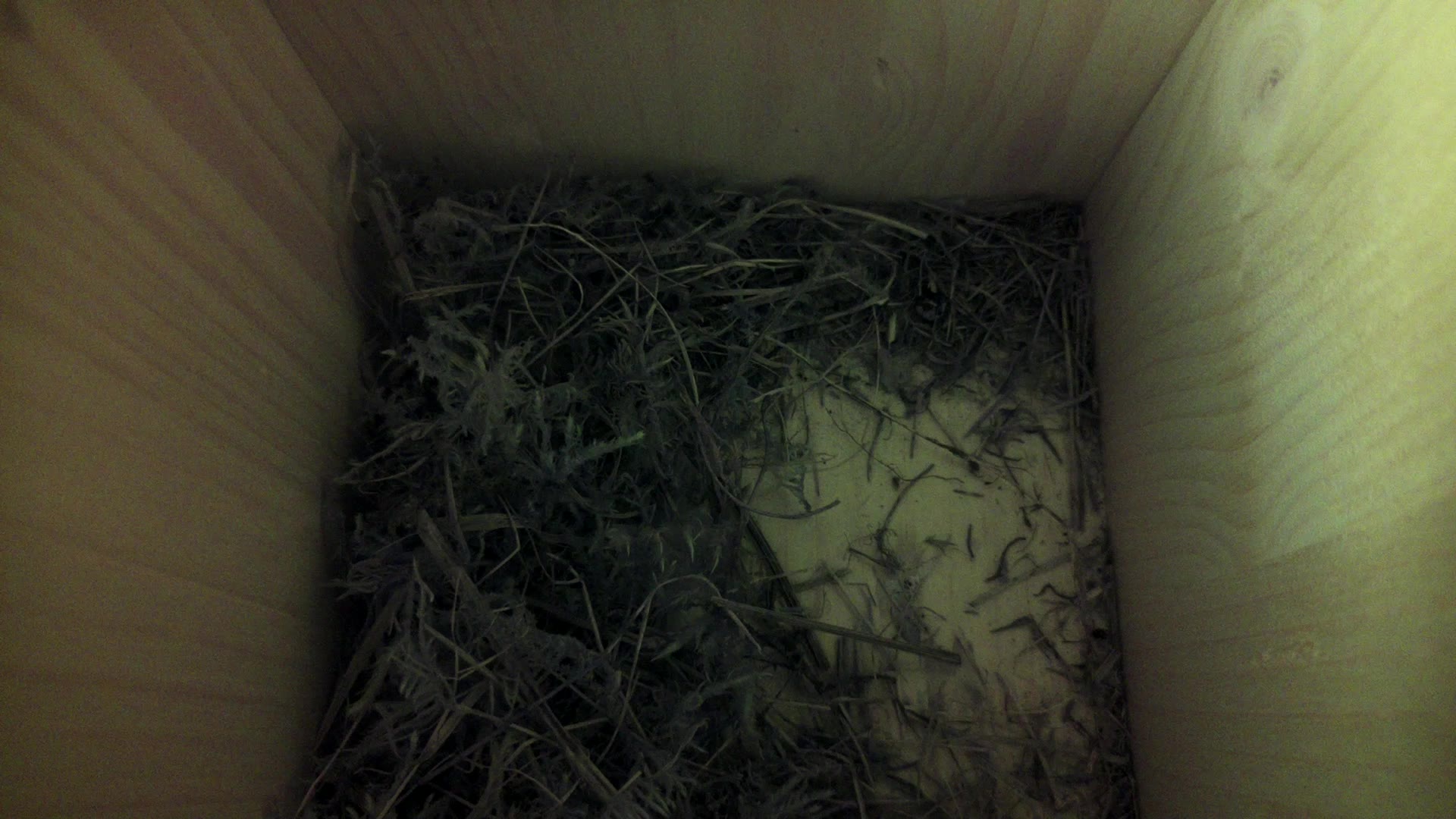 Aufnahme aus dem Vogelhaus