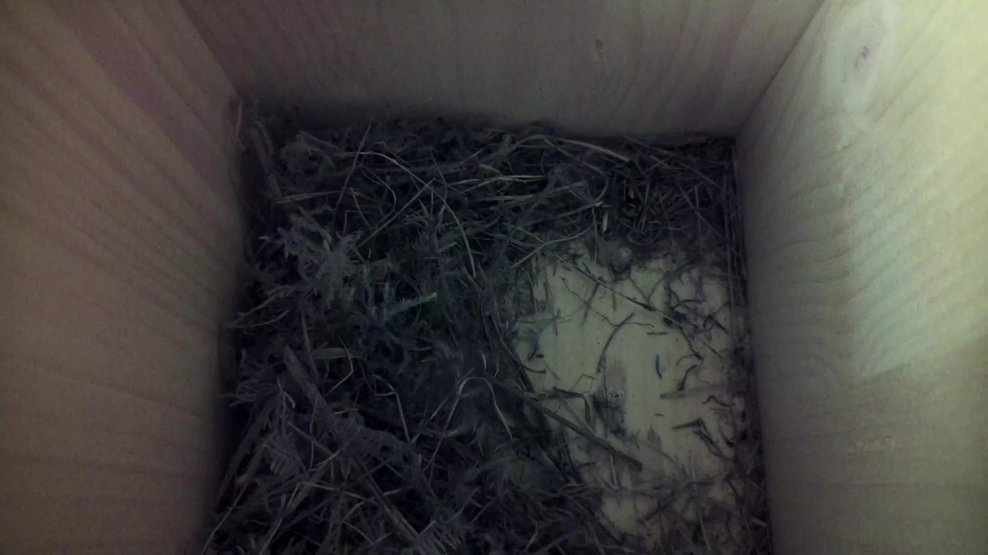Aufnahme aus dem Vogelhaus
