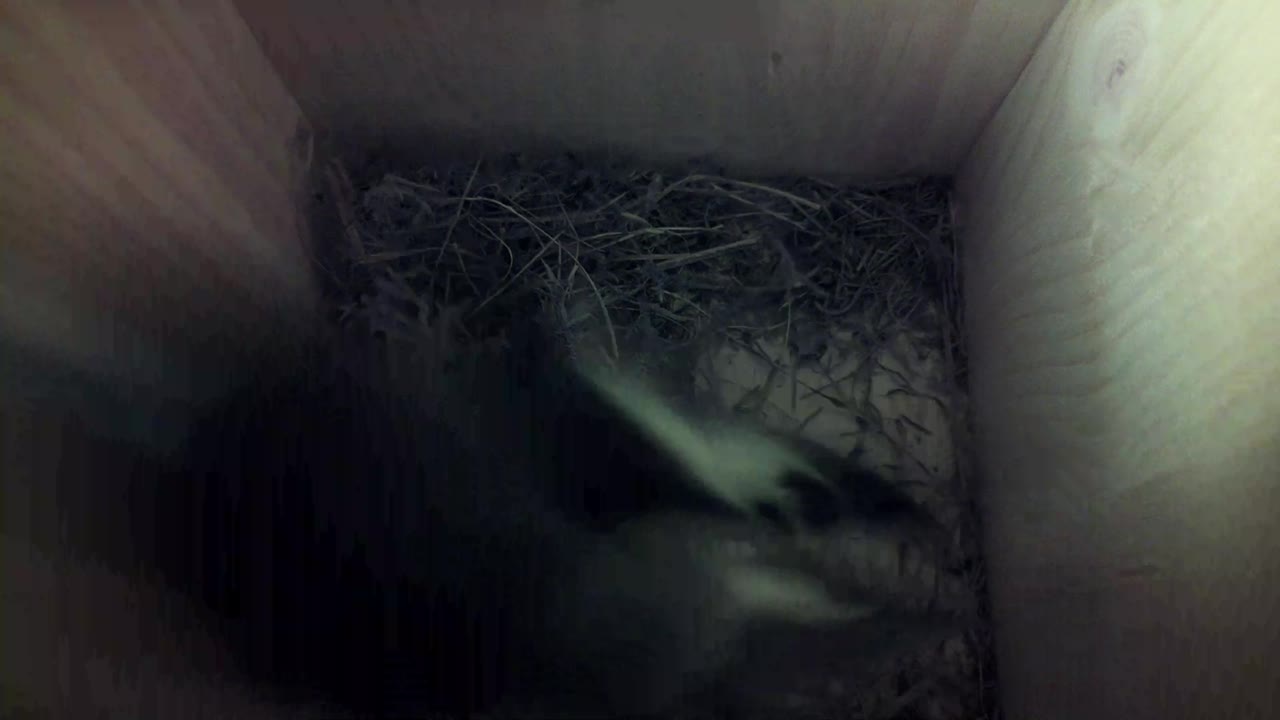 Aufnahme aus dem Vogelhaus