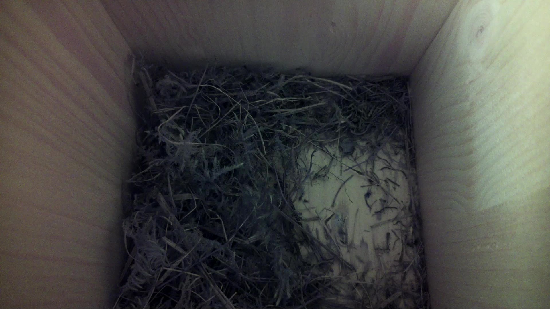 Aufnahme aus dem Vogelhaus