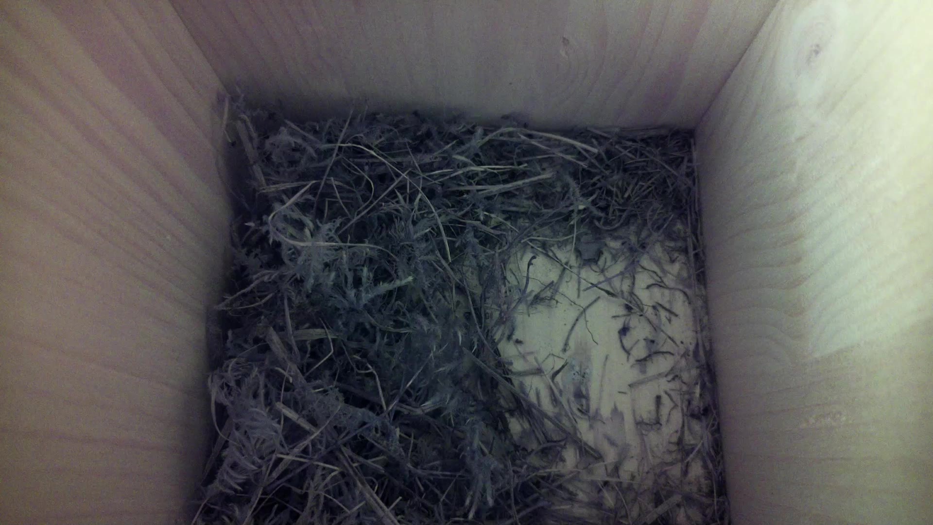 Aufnahme aus dem Vogelhaus