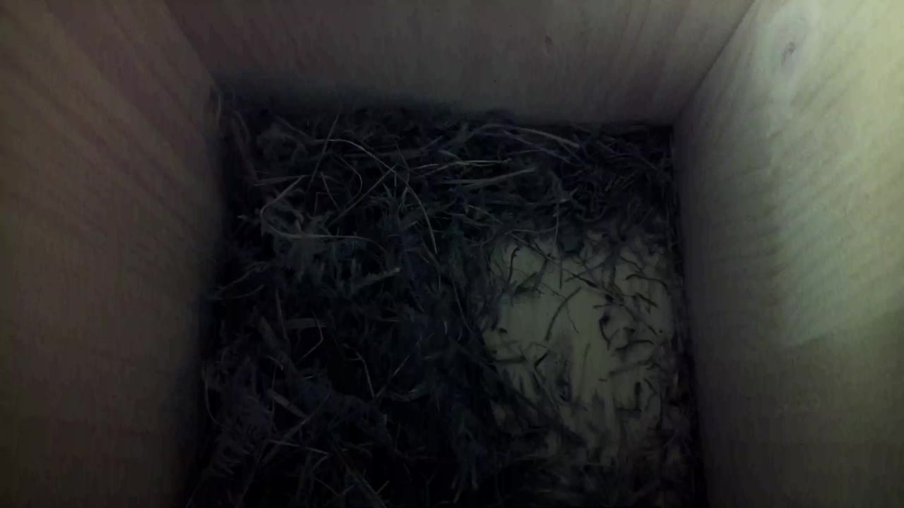Aufnahme aus dem Vogelhaus