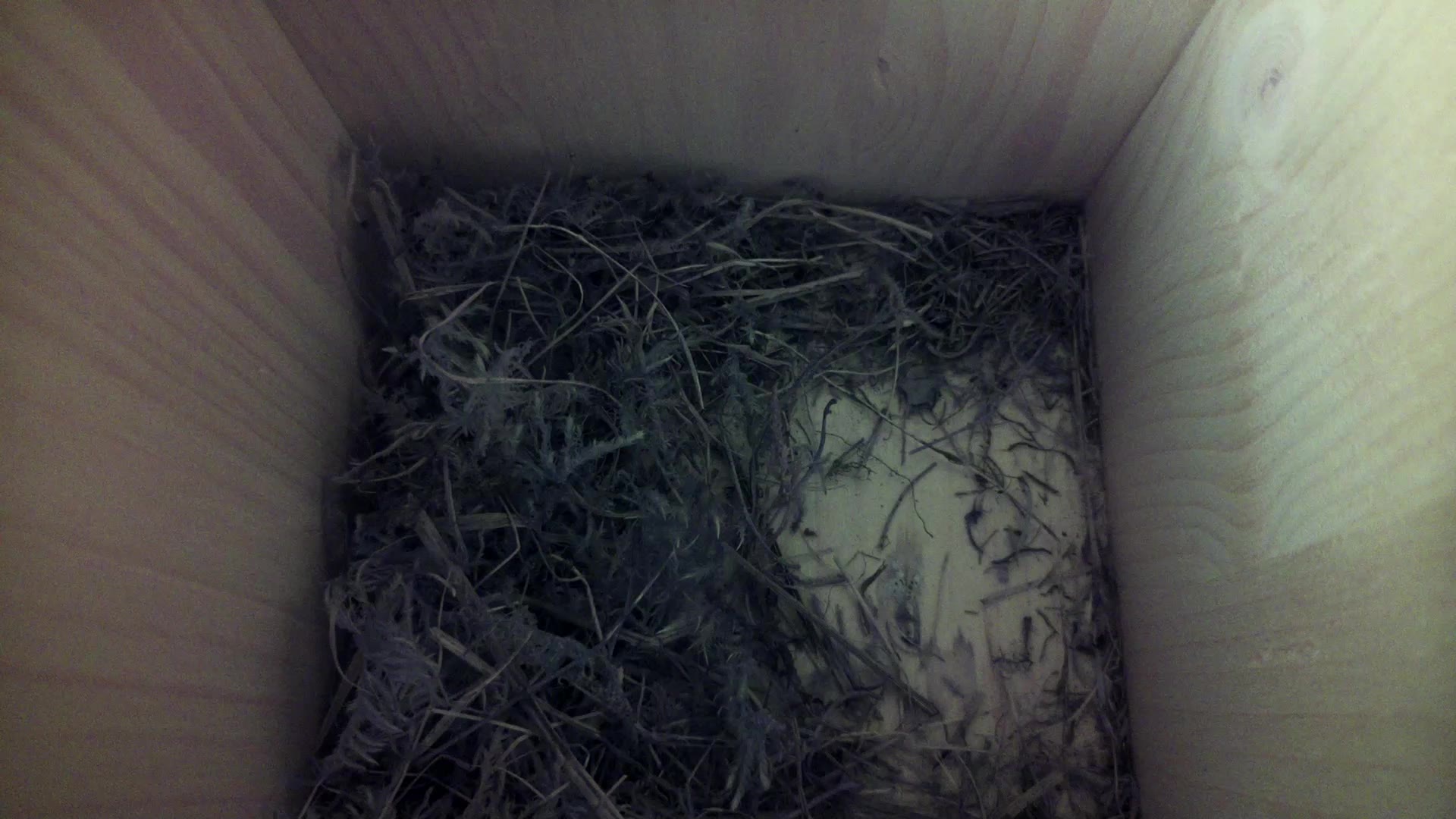 Aufnahme aus dem Vogelhaus