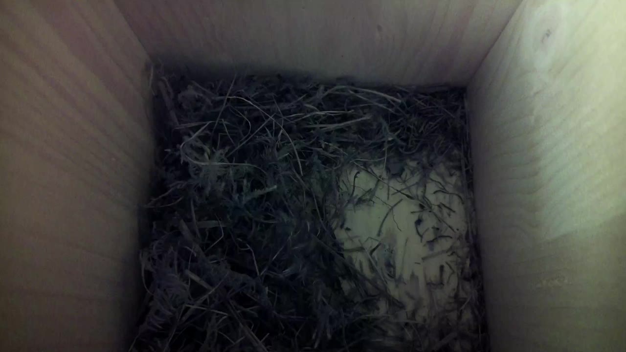 Aufnahme aus dem Vogelhaus