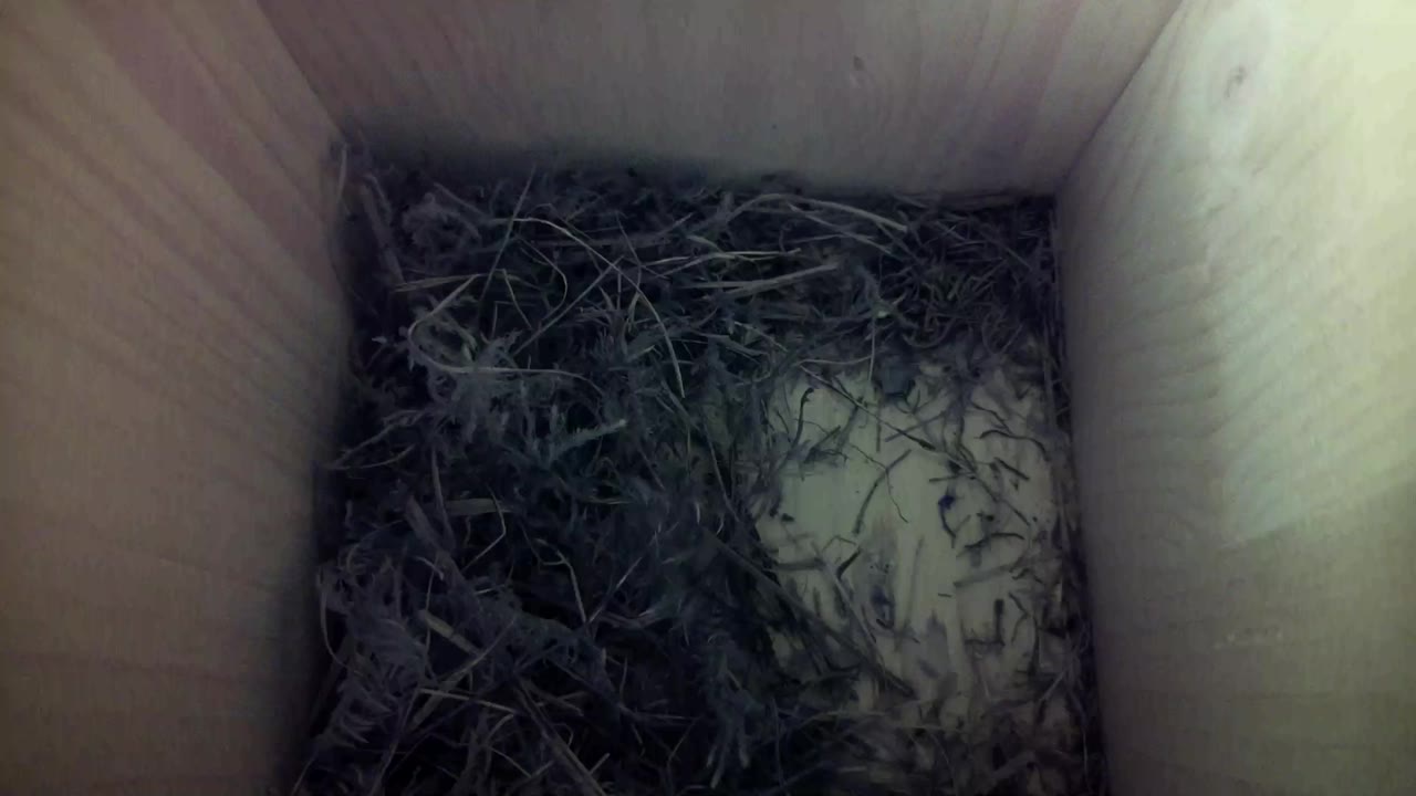 Aufnahme aus dem Vogelhaus
