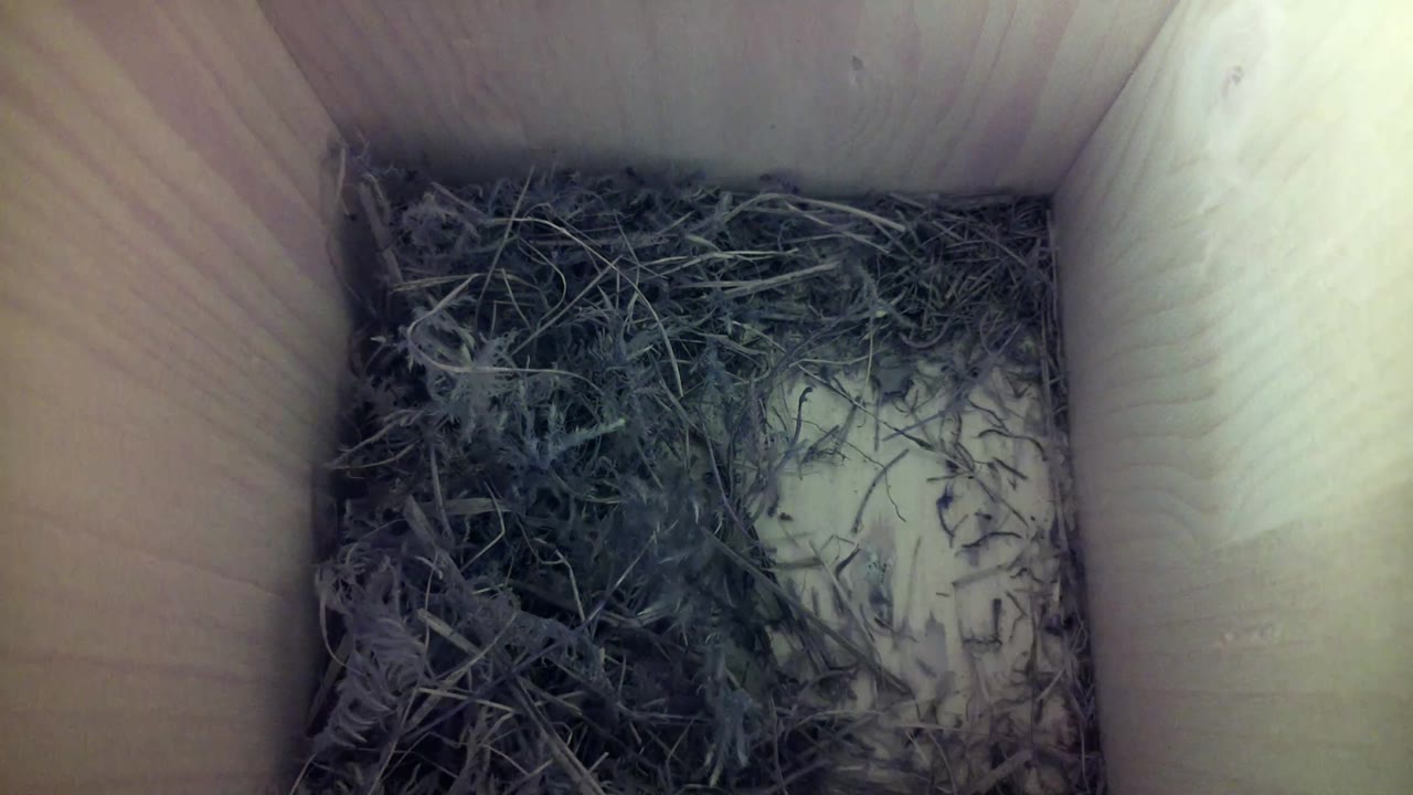 Aufnahme aus dem Vogelhaus