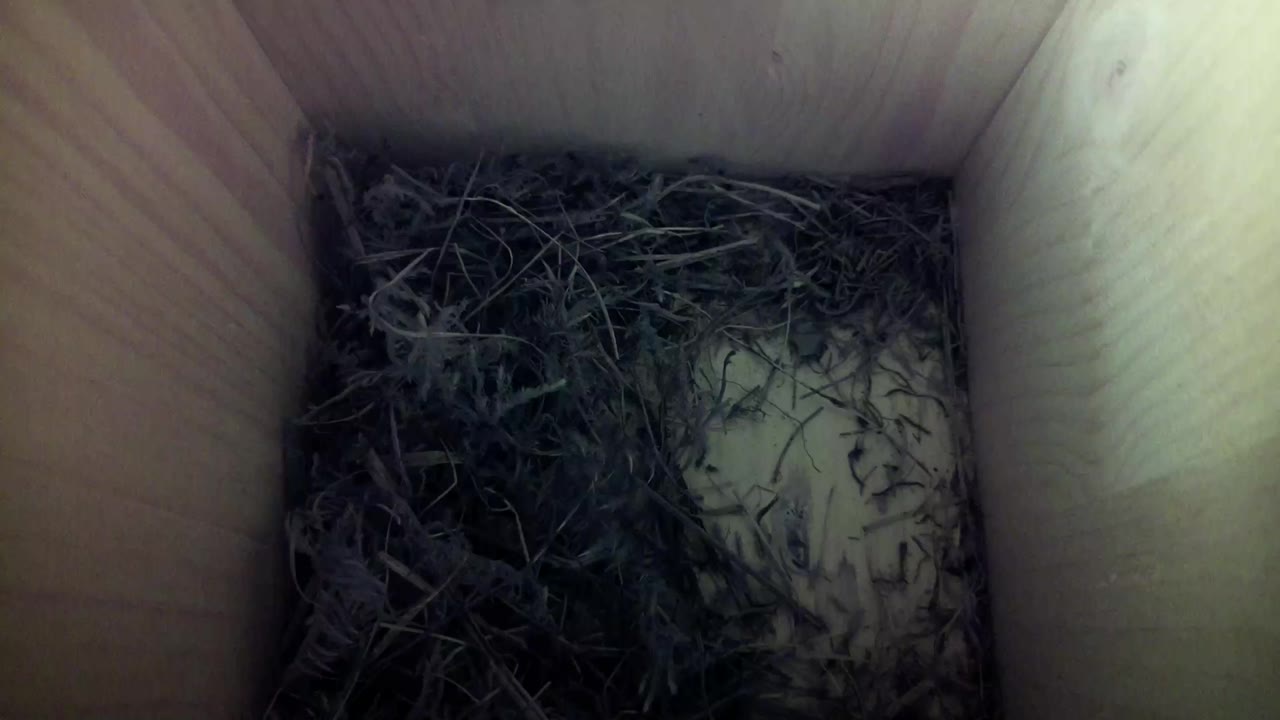 Aufnahme aus dem Vogelhaus