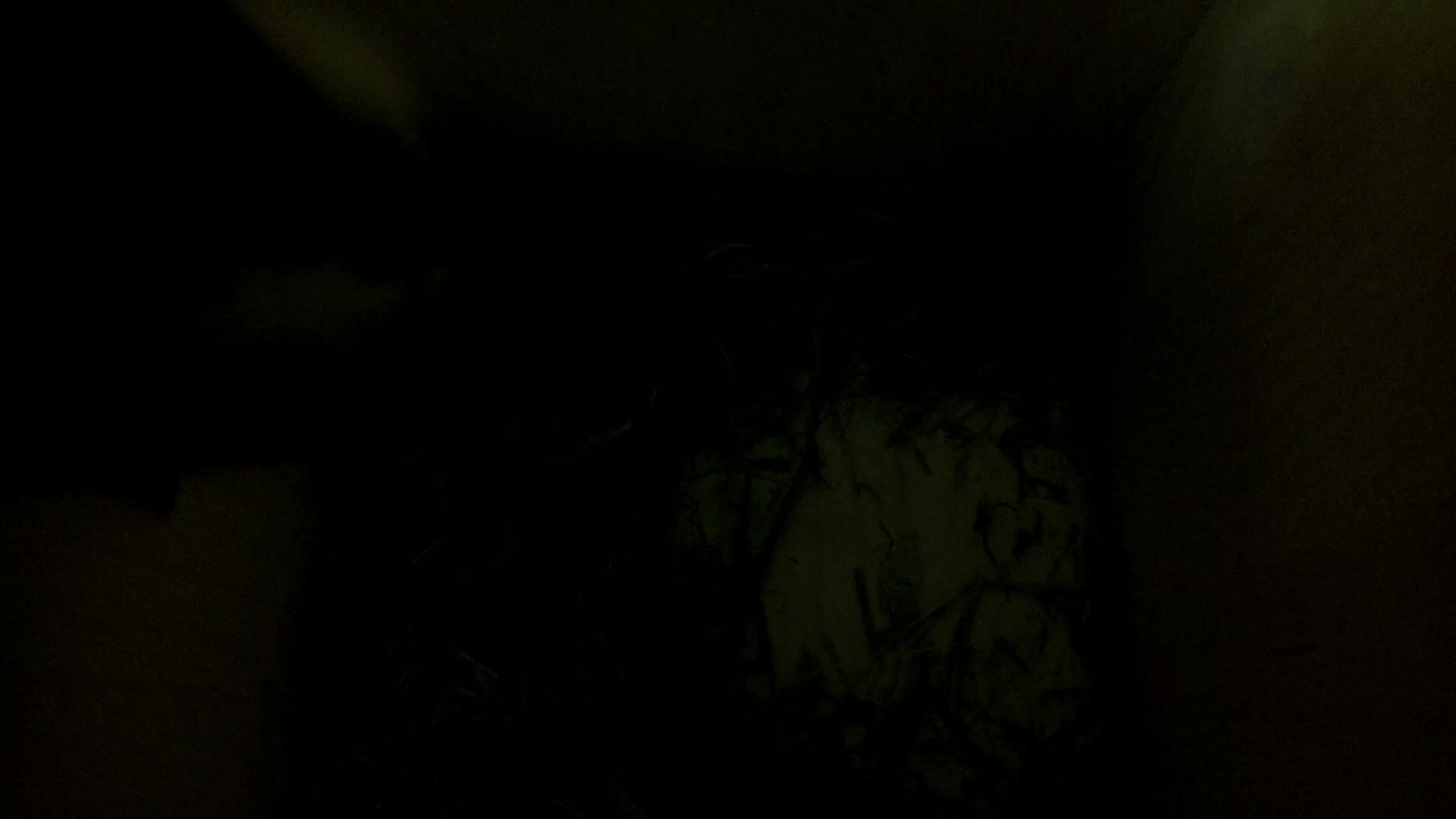 Aufnahme aus dem Vogelhaus