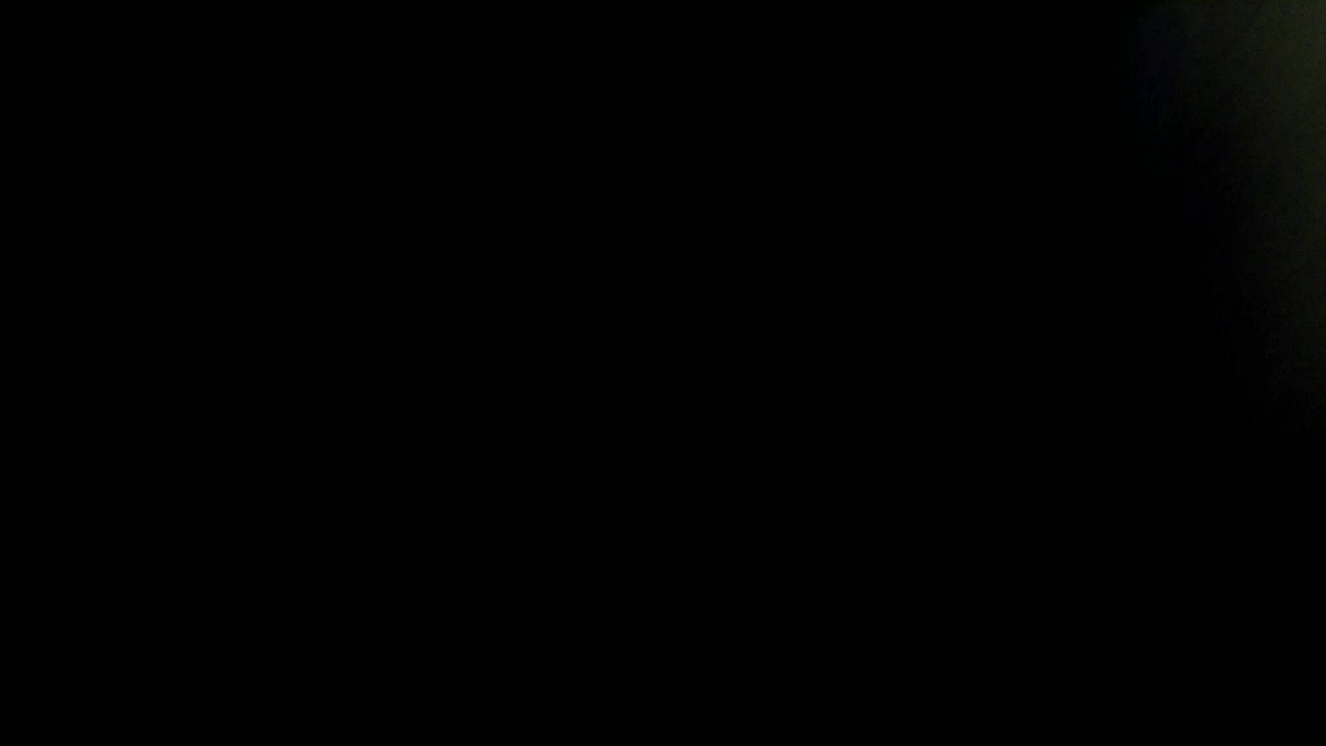 Aufnahme aus dem Vogelhaus