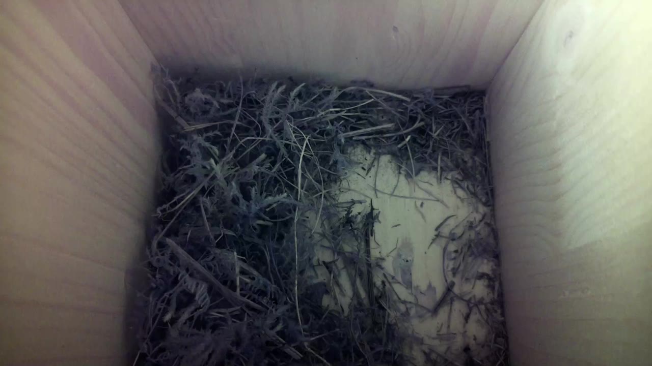 Aufnahme aus dem Vogelhaus