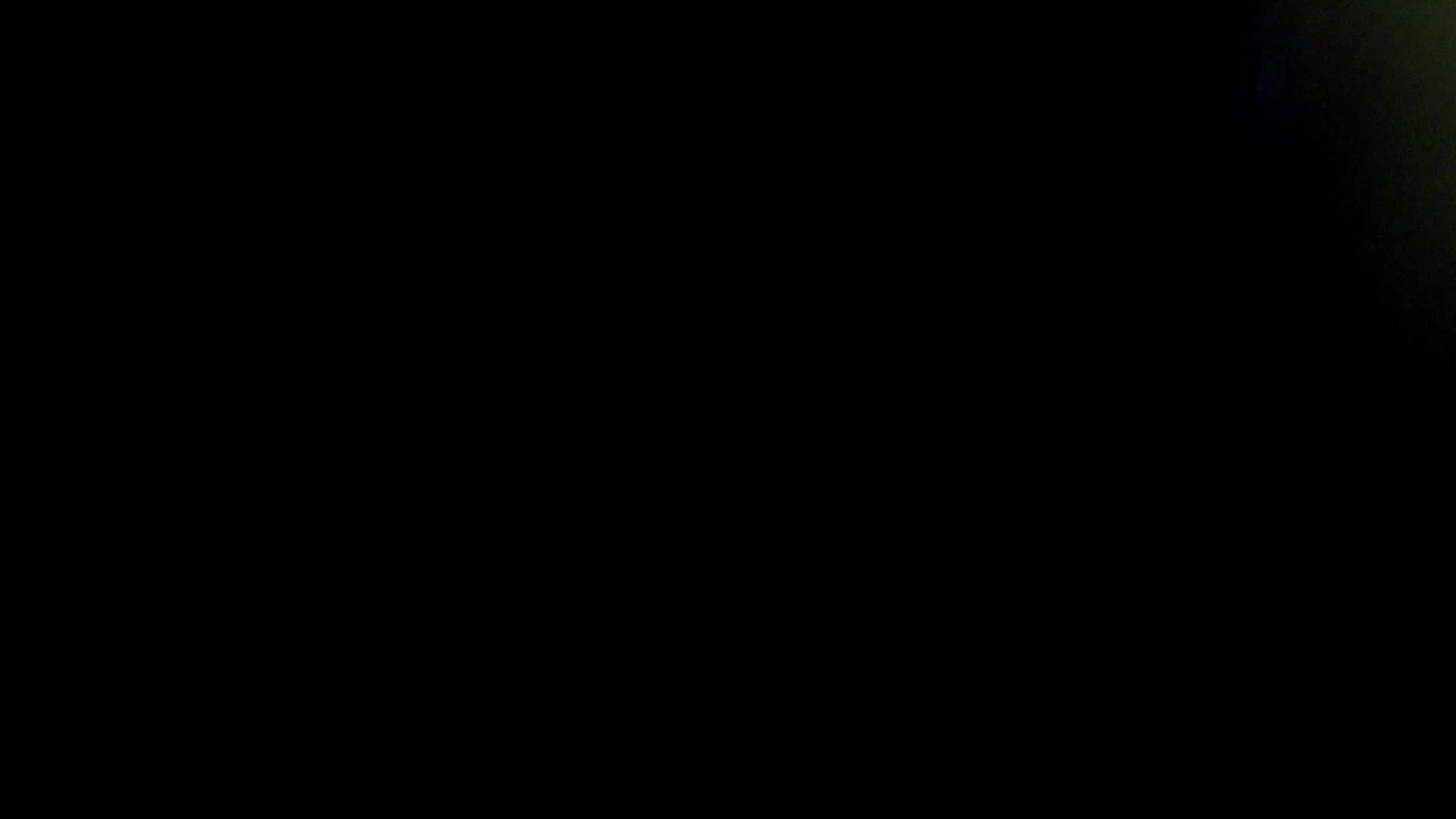 Aufnahme aus dem Vogelhaus