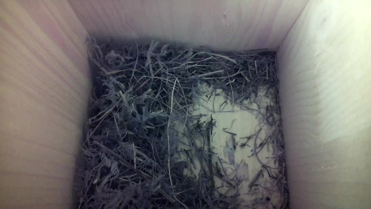 Aufnahme aus dem Vogelhaus