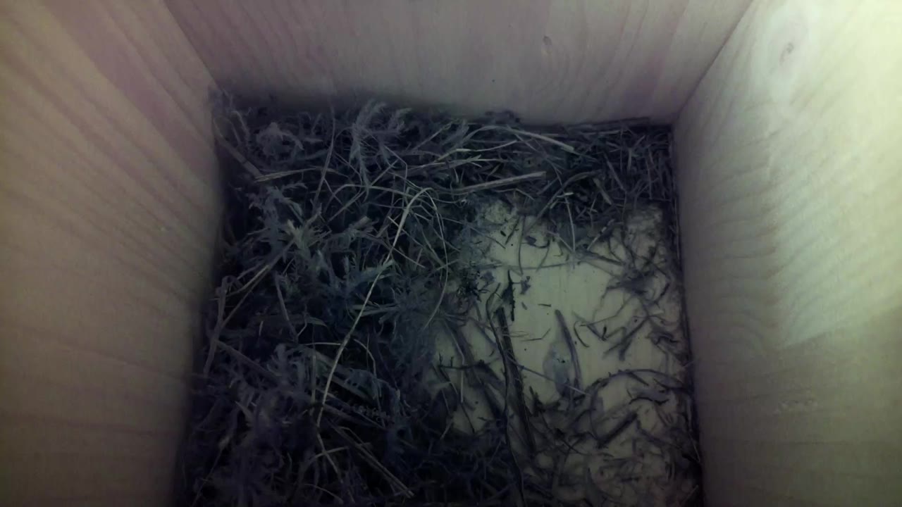 Aufnahme aus dem Vogelhaus