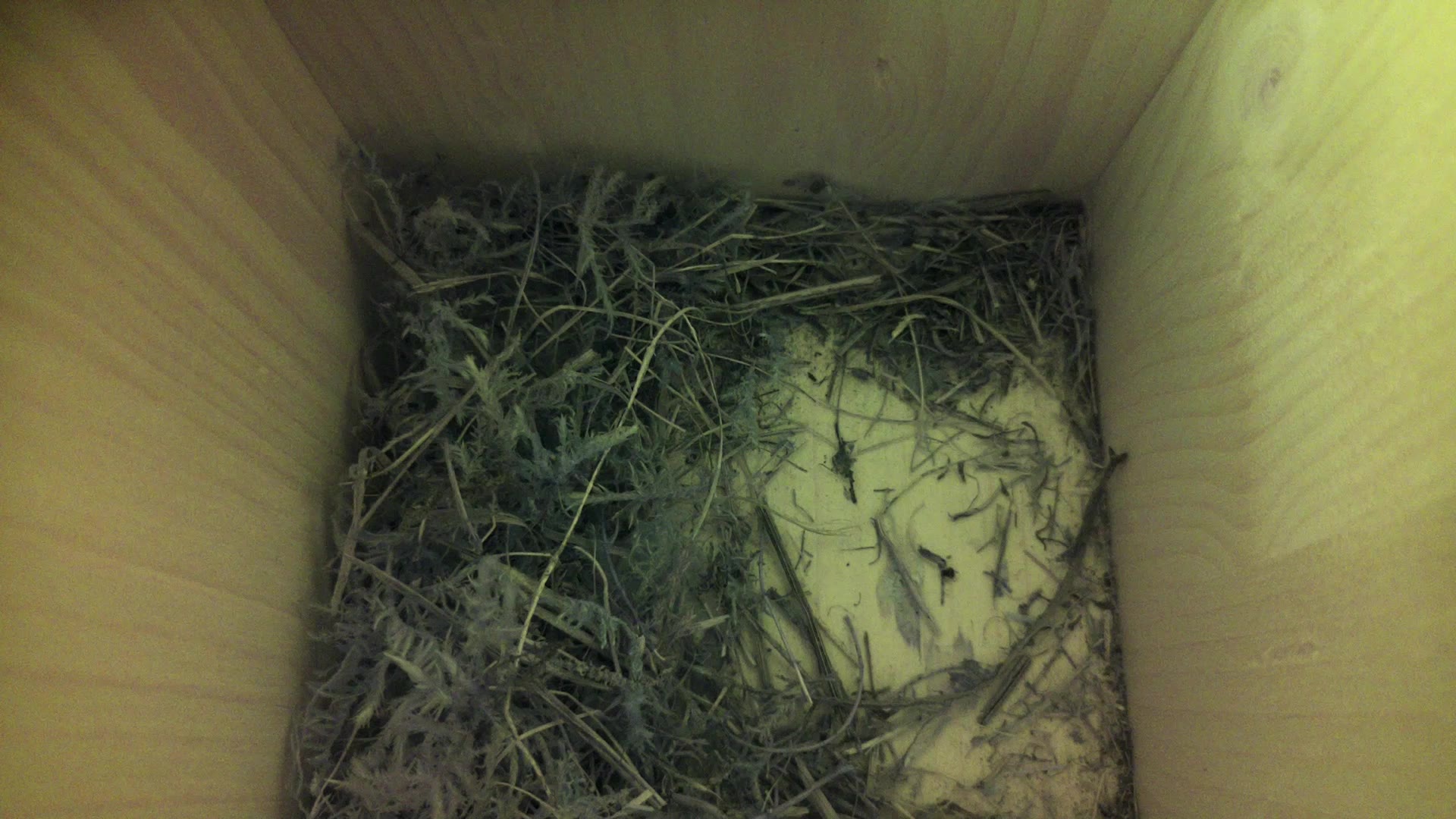 Aufnahme aus dem Vogelhaus