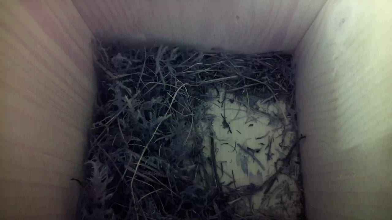 Aufnahme aus dem Vogelhaus