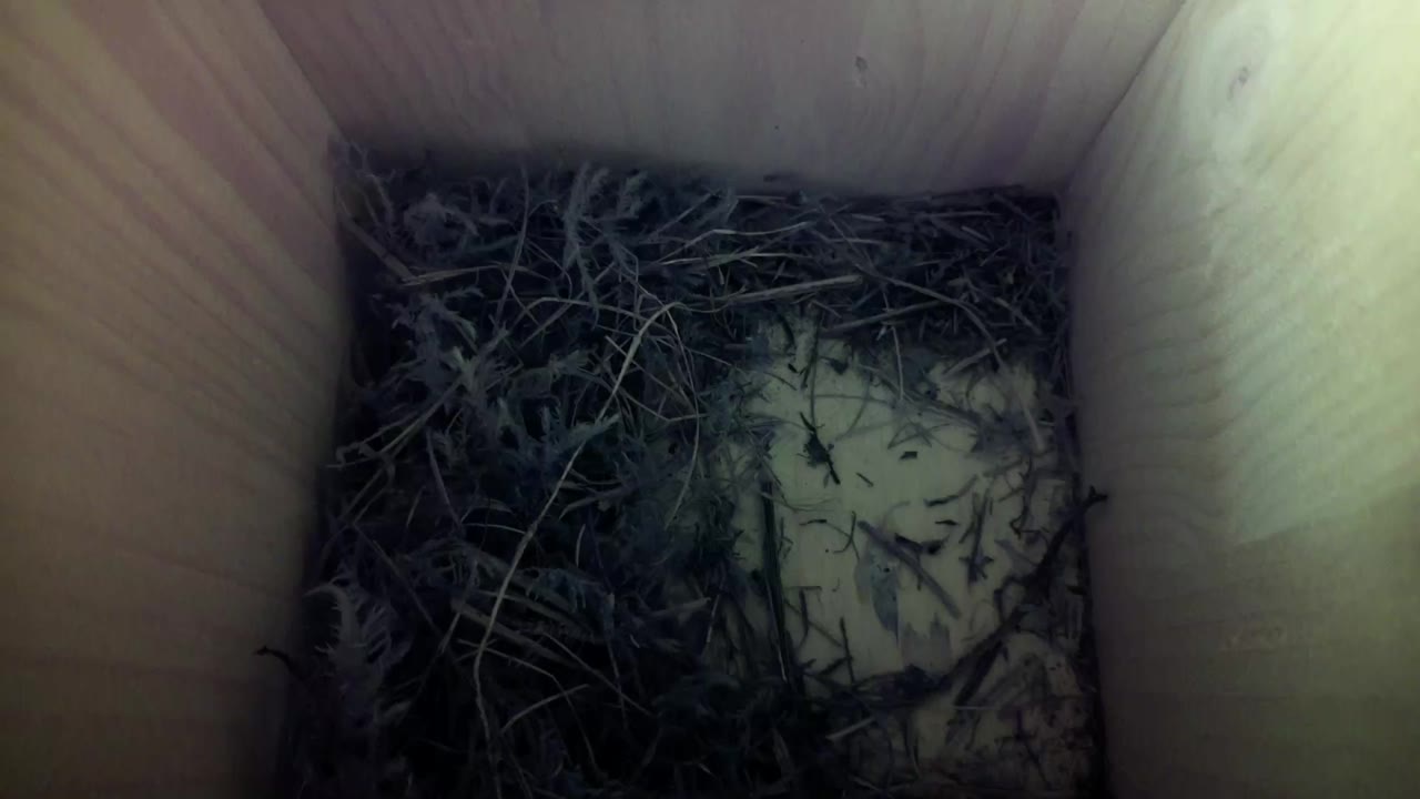 Aufnahme aus dem Vogelhaus