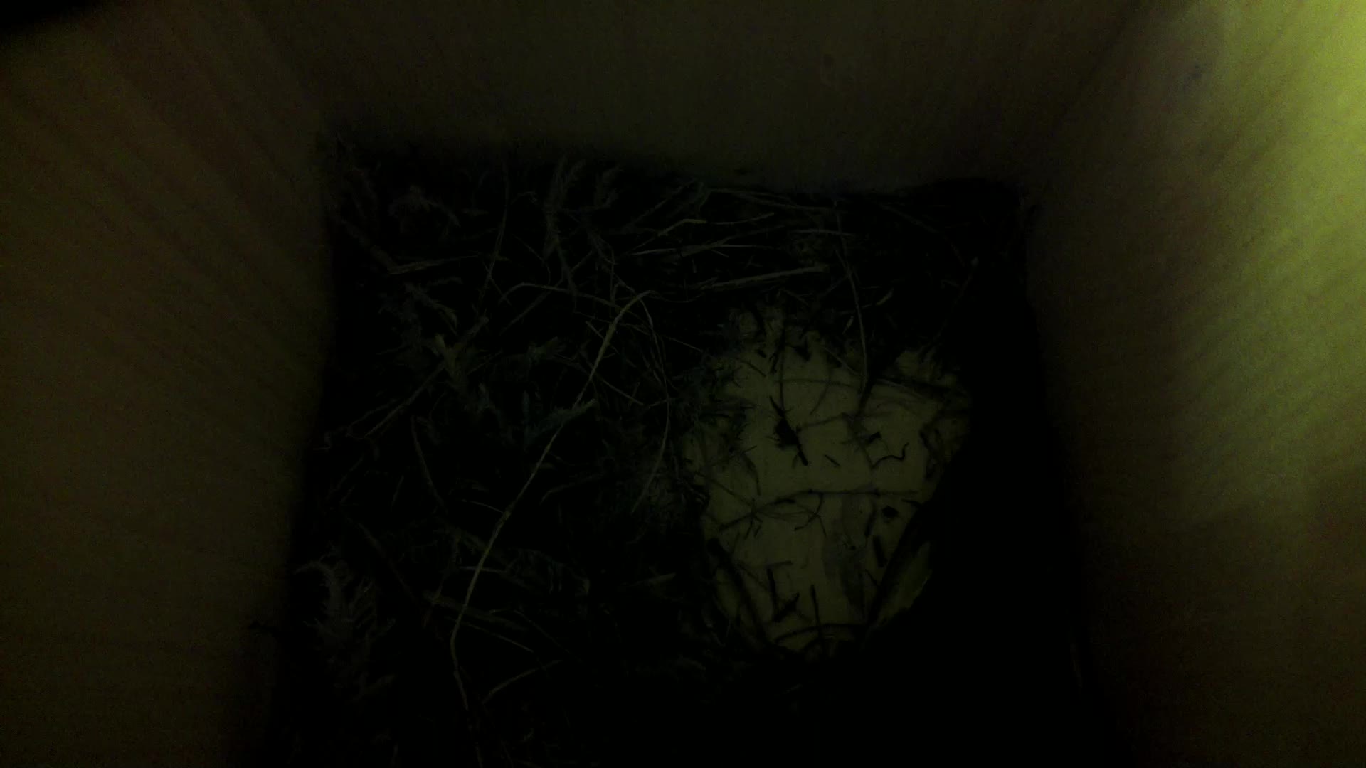 Aufnahme aus dem Vogelhaus