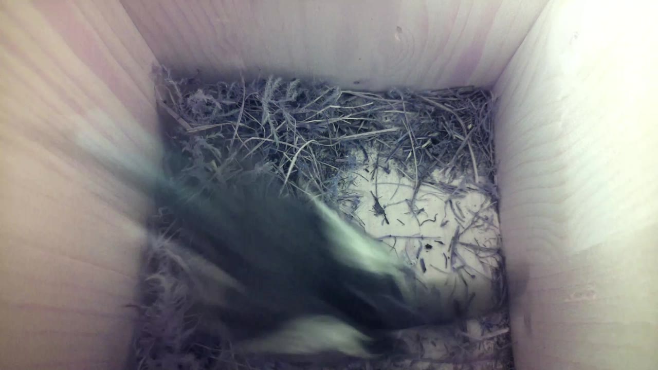 Aufnahme aus dem Vogelhaus