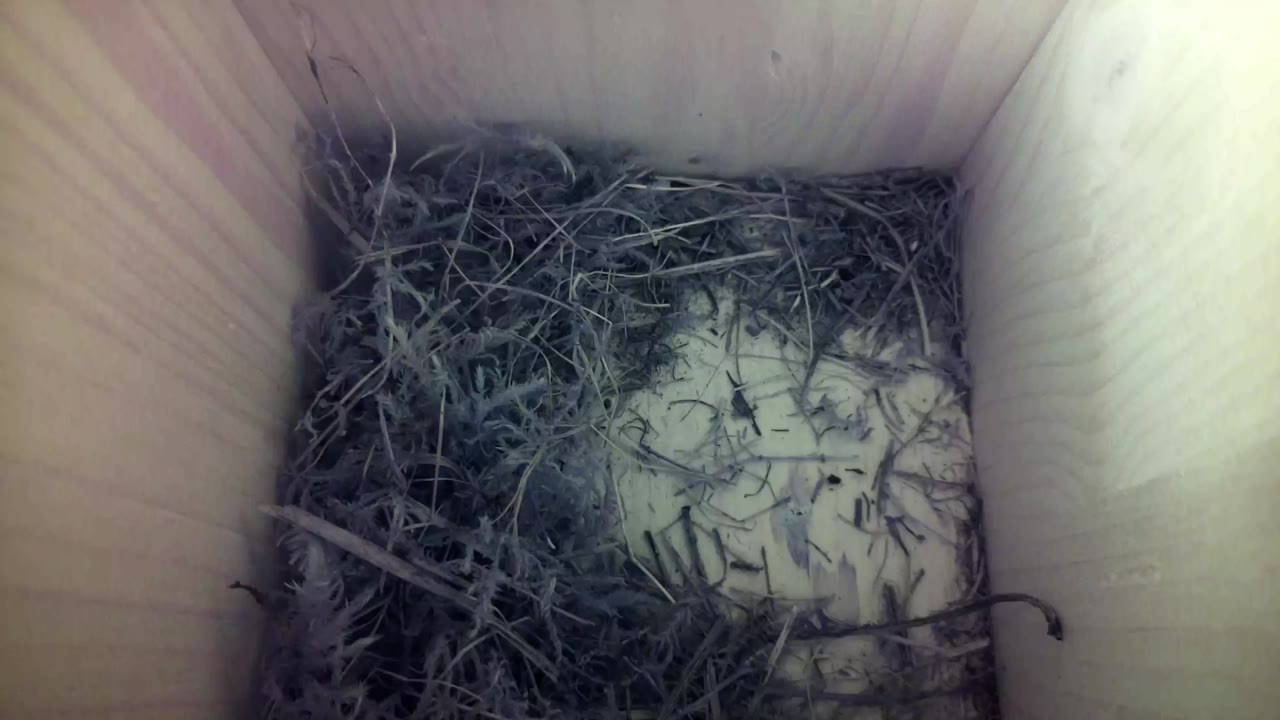 Aufnahme aus dem Vogelhaus