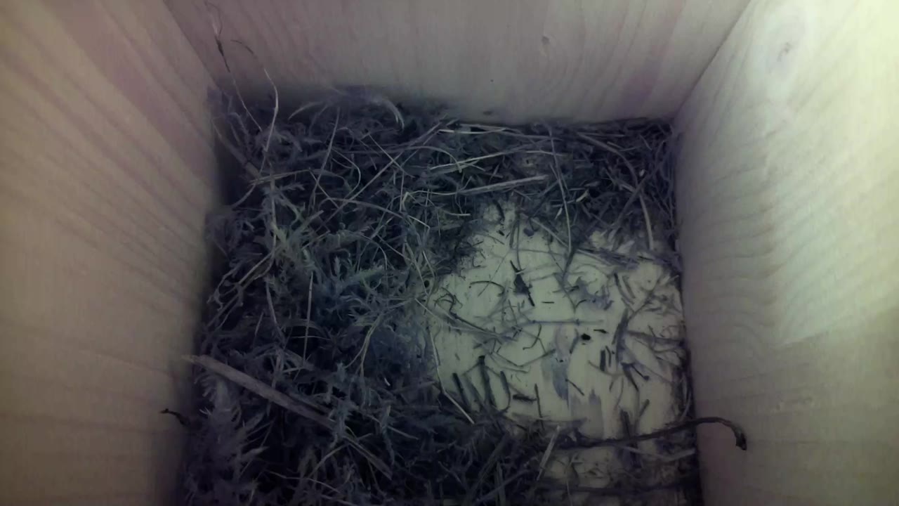 Aufnahme aus dem Vogelhaus