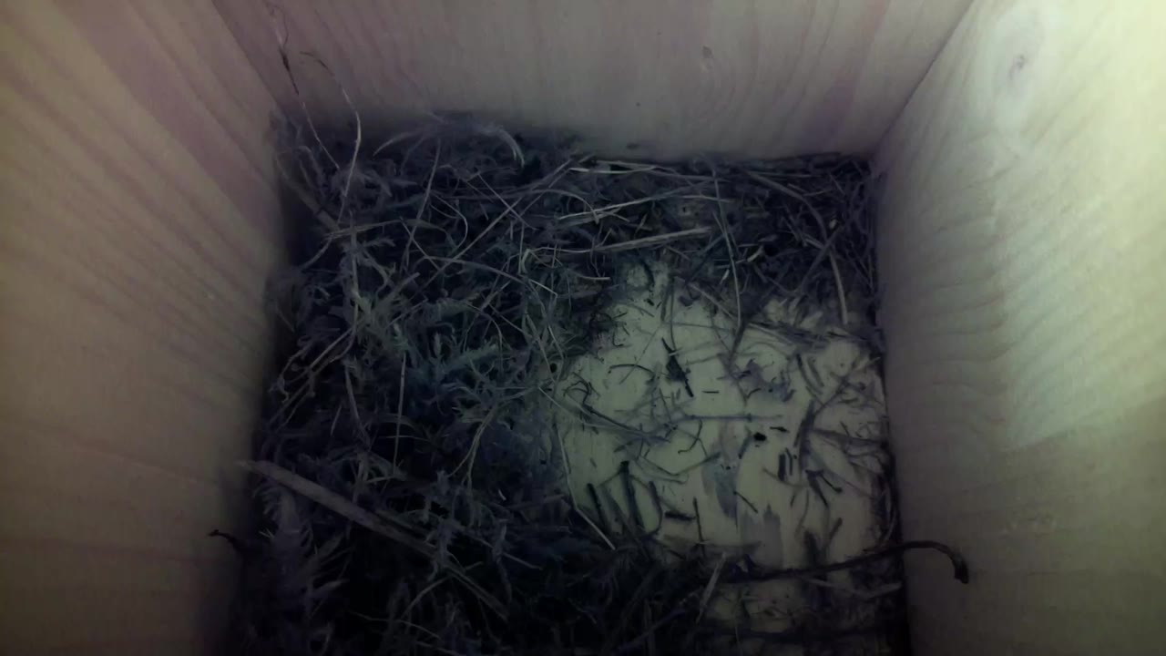 Aufnahme aus dem Vogelhaus