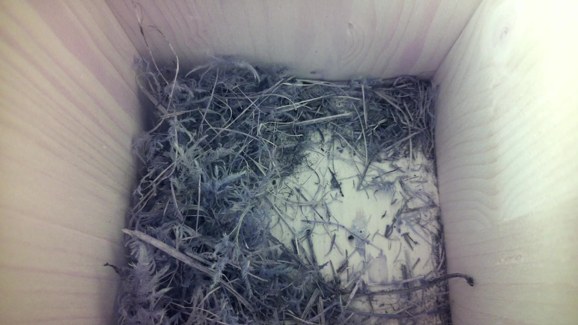Aufnahme aus dem Vogelhaus