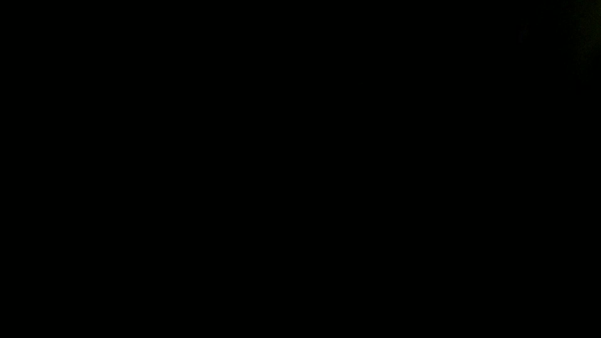 Aufnahme aus dem Vogelhaus