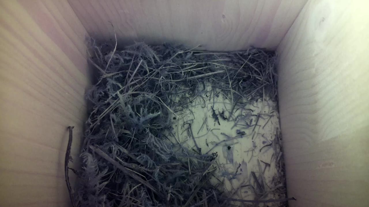 Aufnahme aus dem Vogelhaus