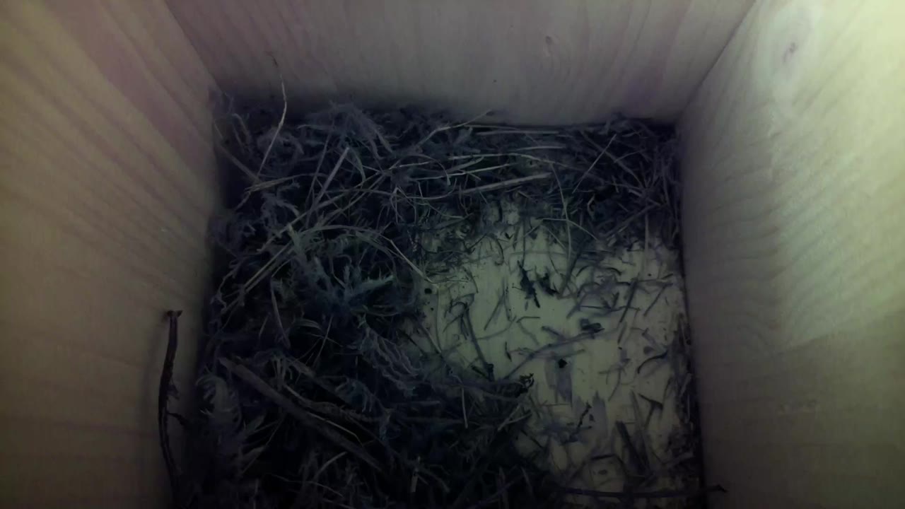 Aufnahme aus dem Vogelhaus