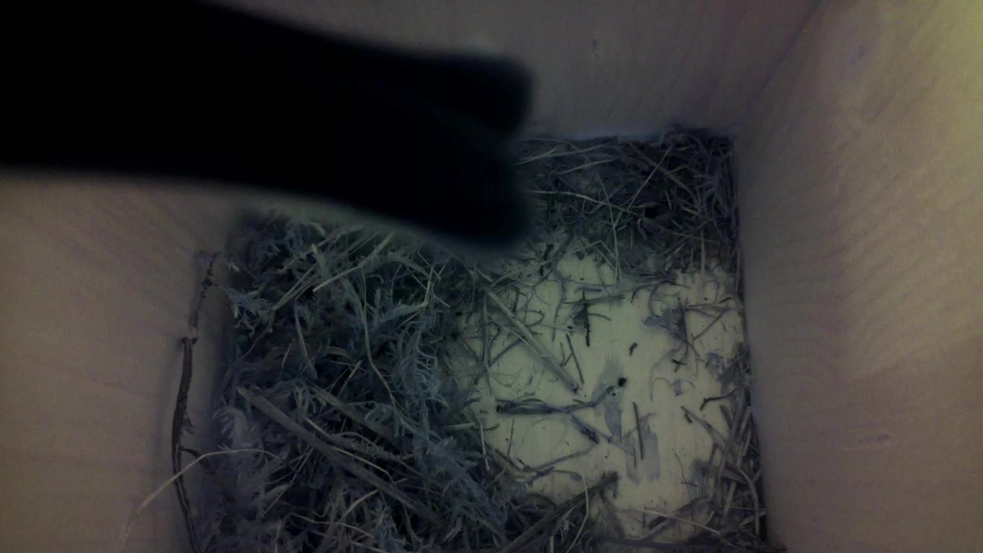 Aufnahme aus dem Vogelhaus