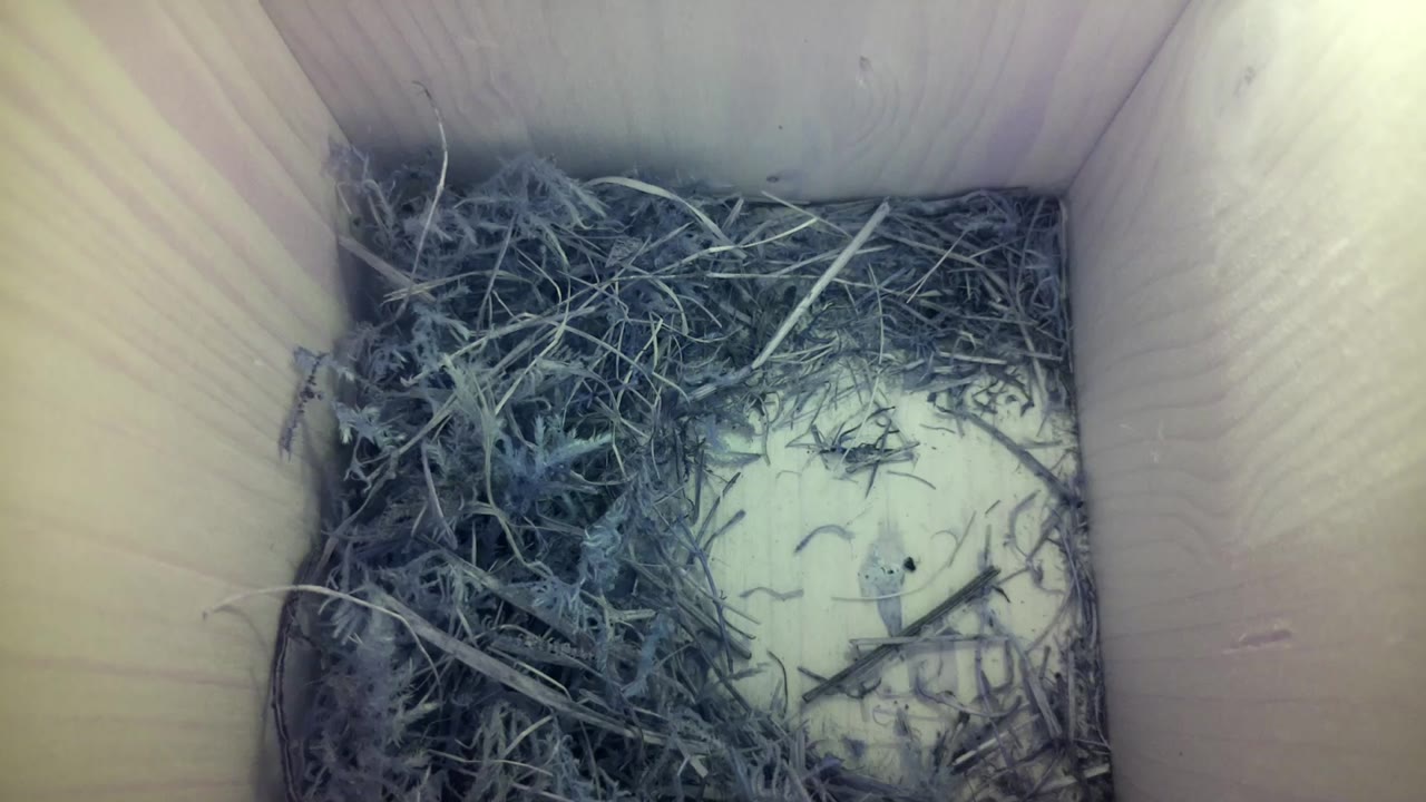 Aufnahme aus dem Vogelhaus
