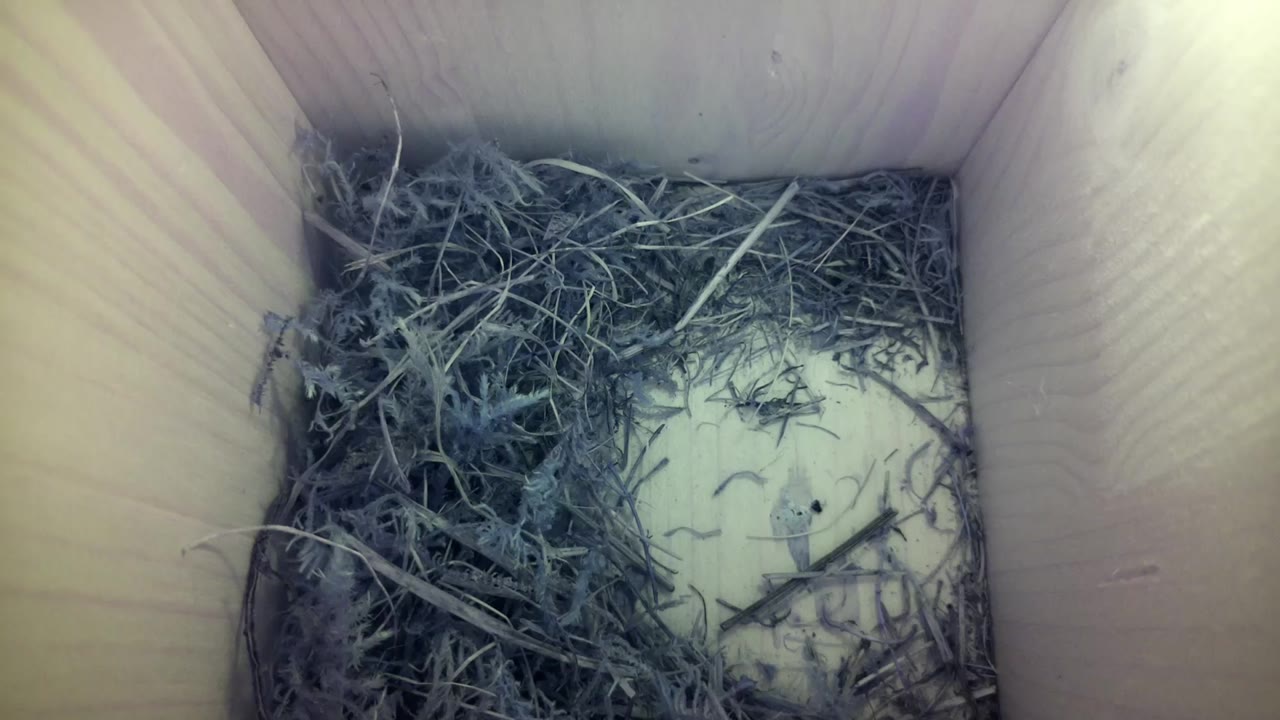Aufnahme aus dem Vogelhaus