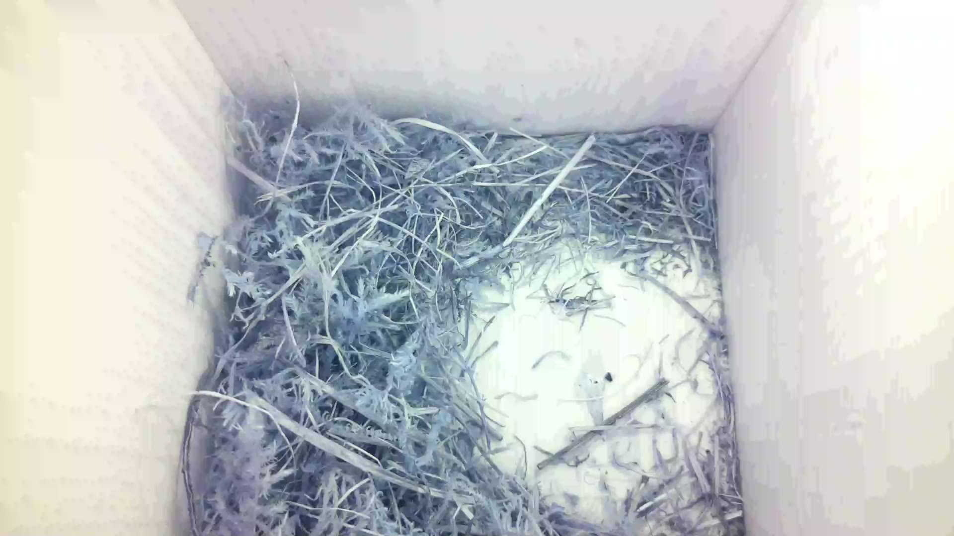 Aufnahme aus dem Vogelhaus