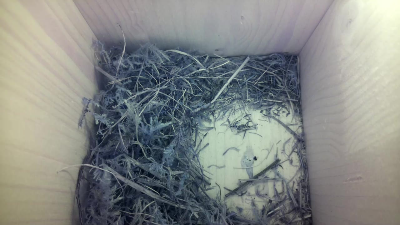 Aufnahme aus dem Vogelhaus