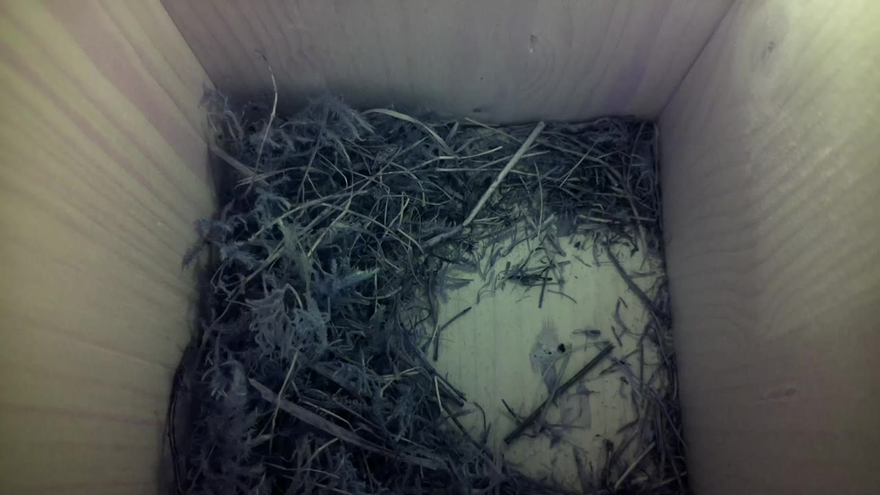 Aufnahme aus dem Vogelhaus