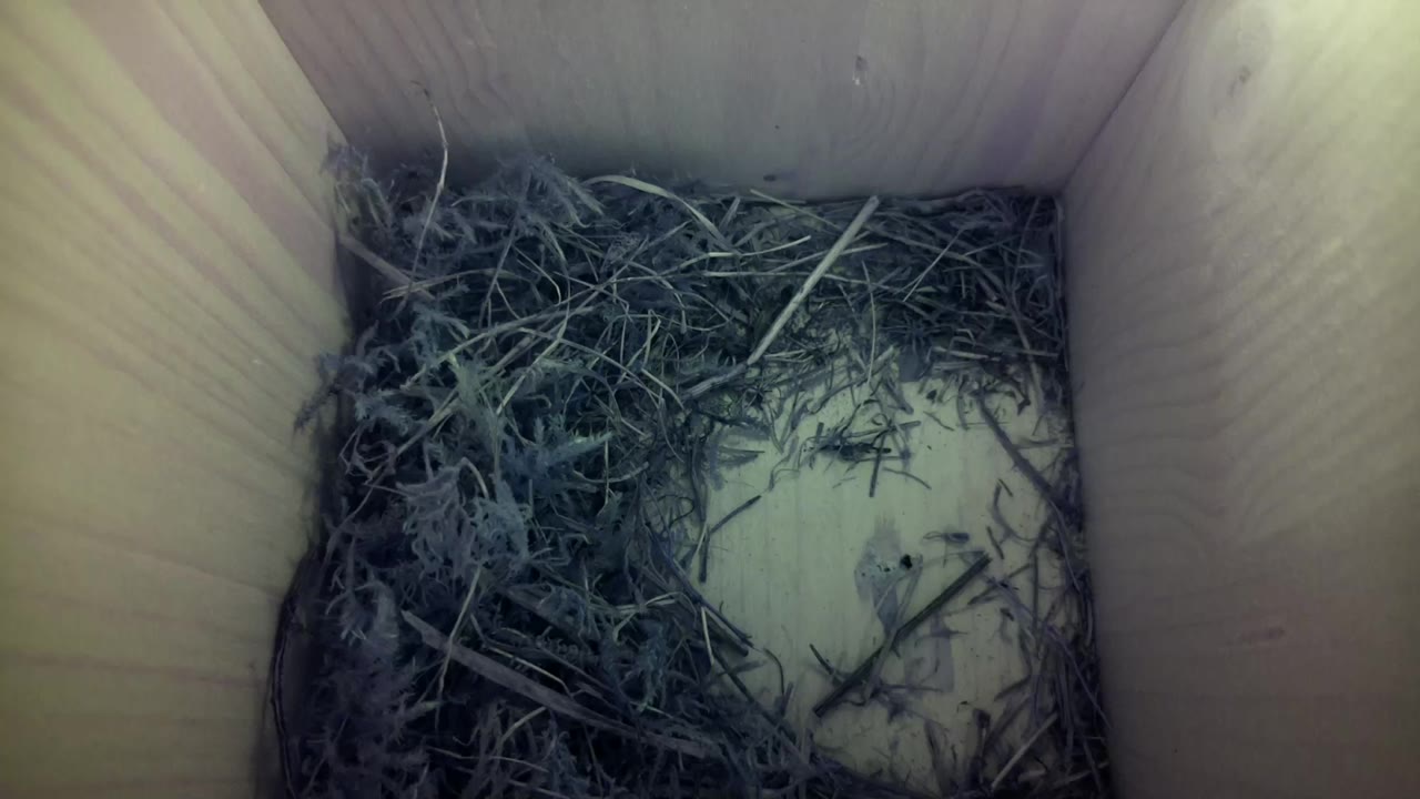 Aufnahme aus dem Vogelhaus