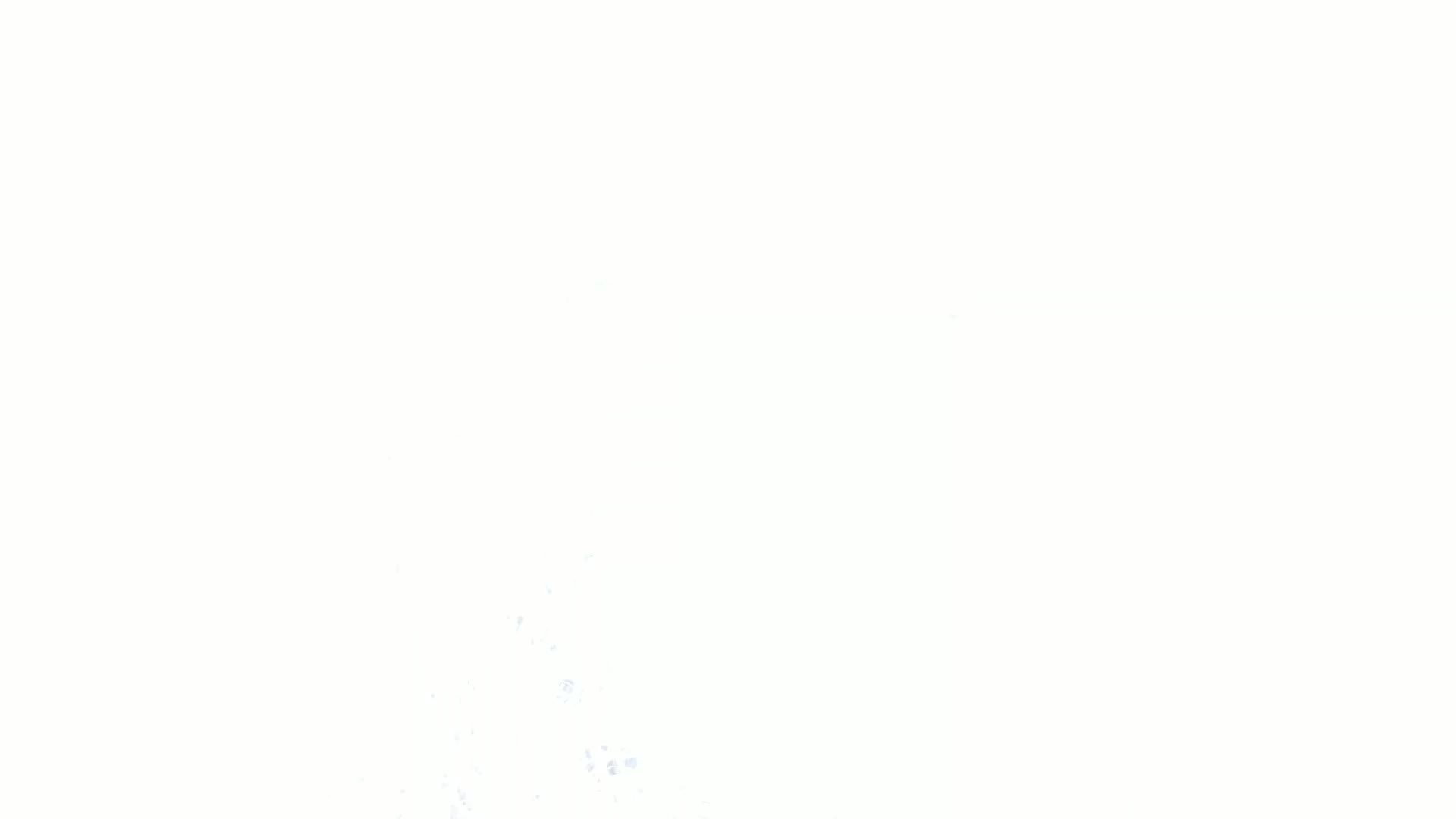 Aufnahme aus dem Vogelhaus