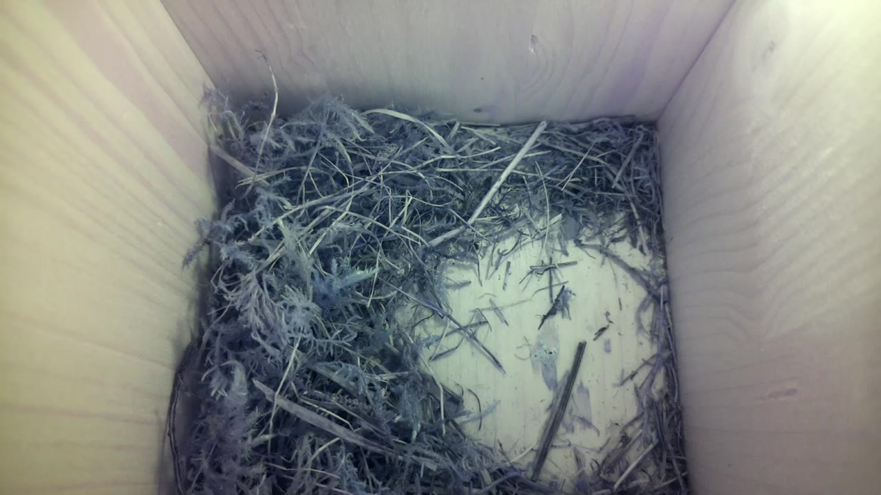 Aufnahme aus dem Vogelhaus