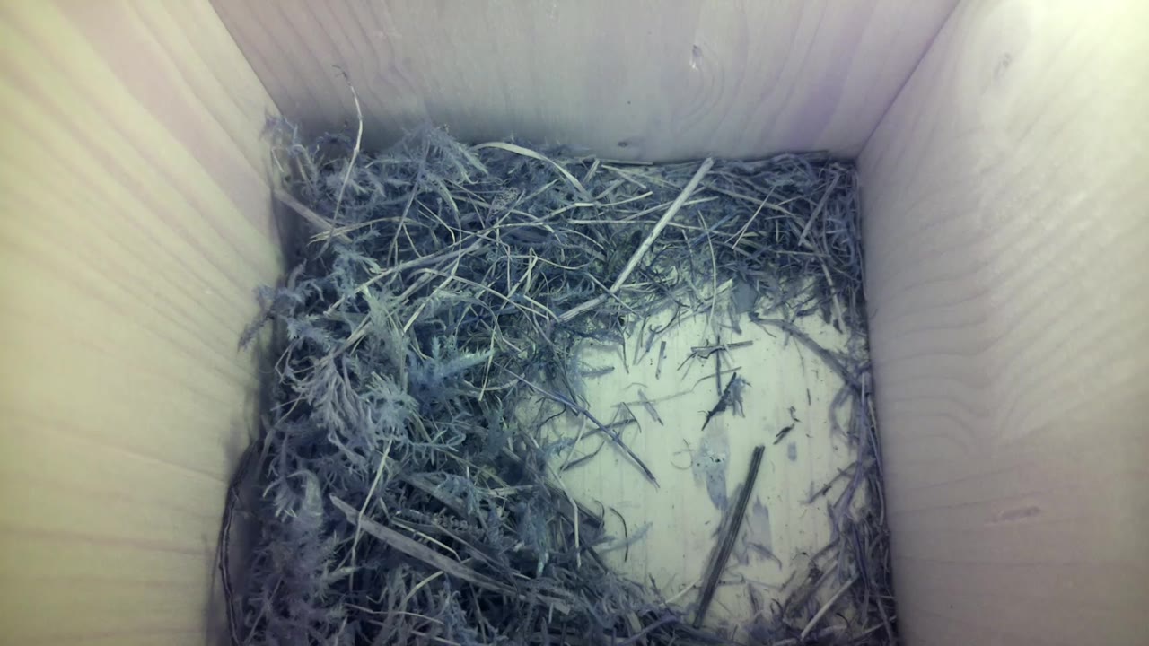 Aufnahme aus dem Vogelhaus