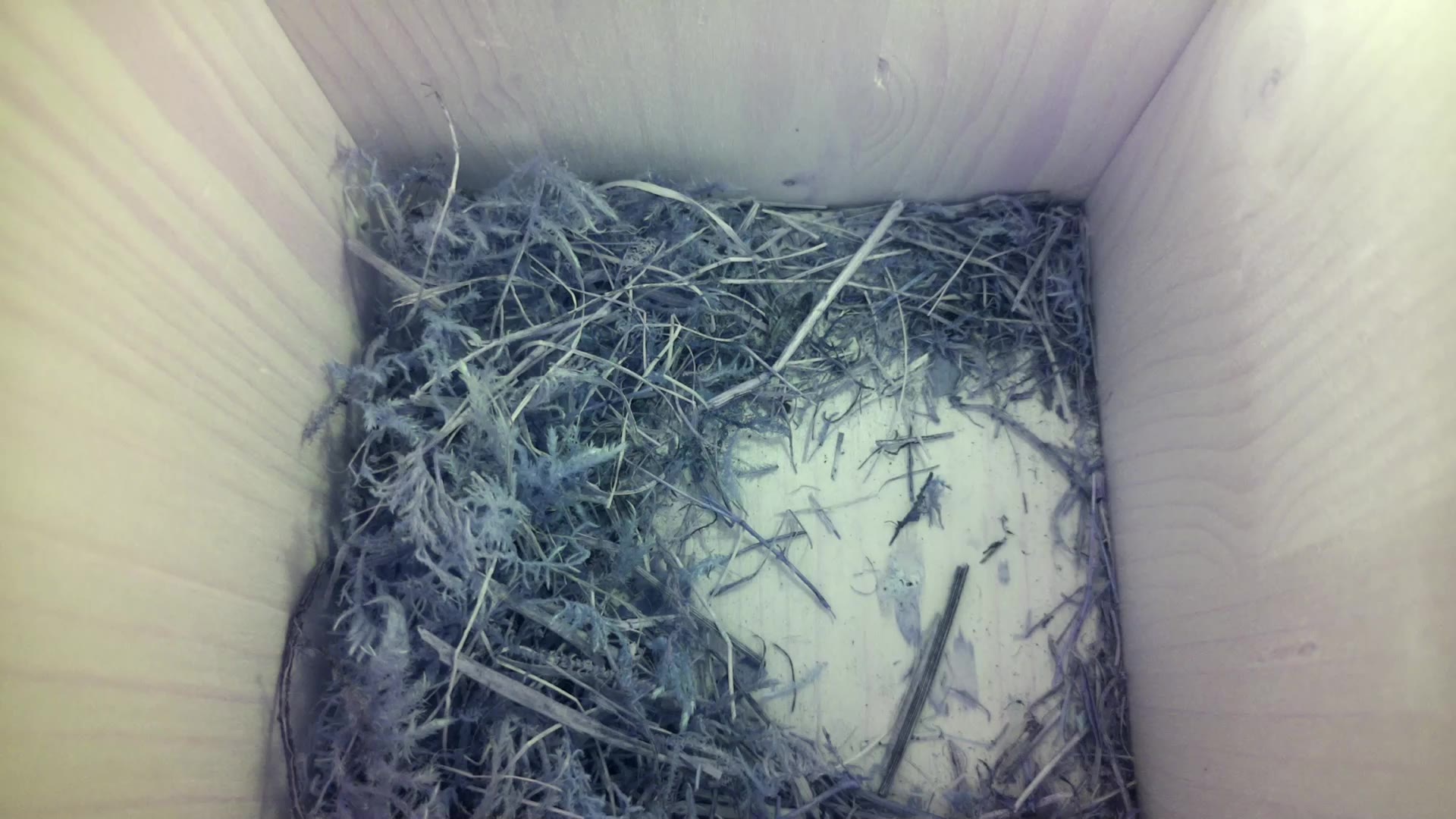 Aufnahme aus dem Vogelhaus