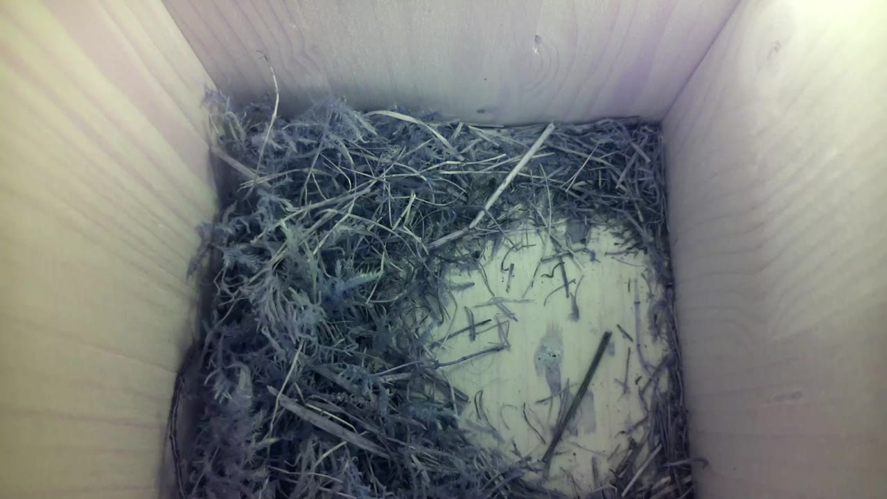 Aufnahme aus dem Vogelhaus